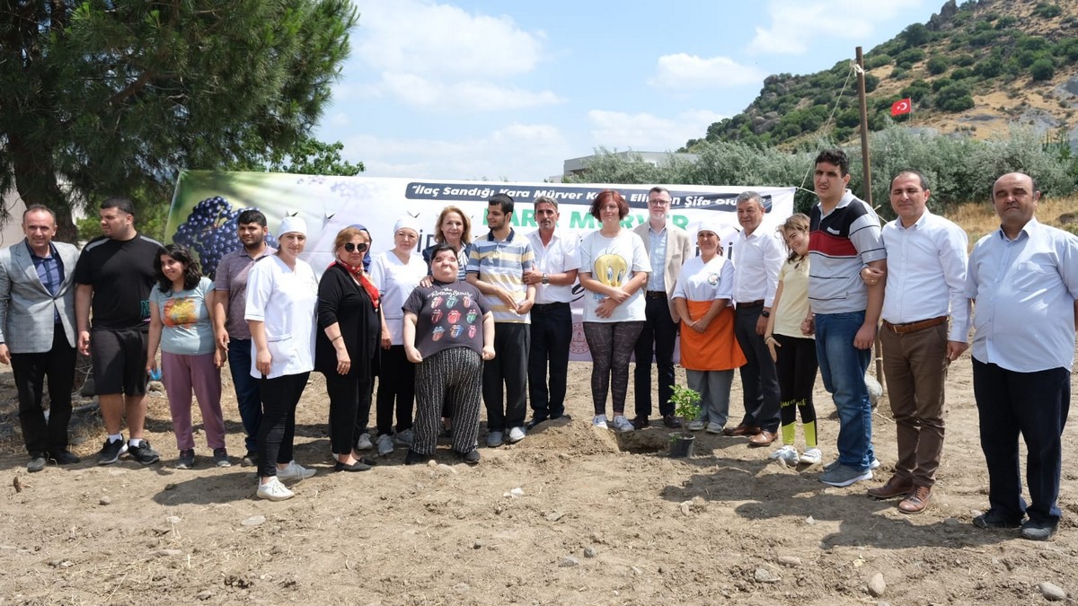 İzmir Milletvekili Hamza Dağ Kınık’ta Üreticilerle Birlikte Kiraz Topladı
