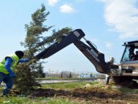 Aliağa Belediyesi Ağaçlandırma Çalışmalarına Ara Vermiyor