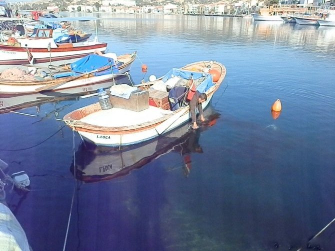 Foça’da Sürdürülebilir Balıkçılık Çalıştayı Yapılacak