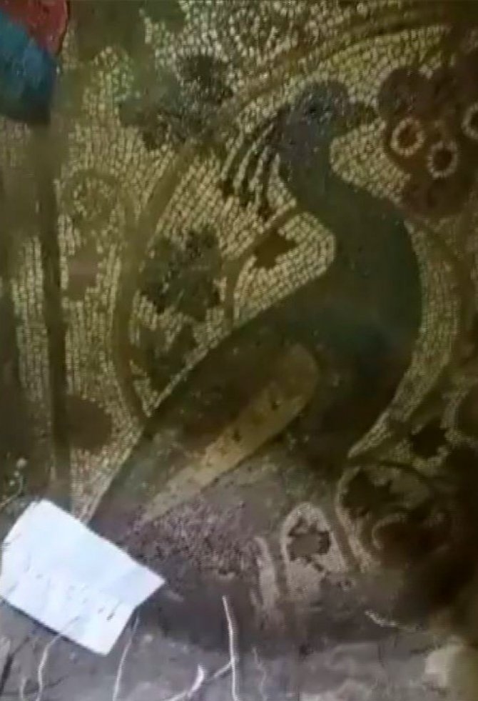 Definecilerin Satmaya Çalıştığı Mozaik Bin 800 Yıllık Çıktı