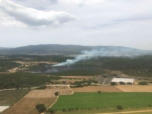 İzmir Menderes’te Orman Yangını