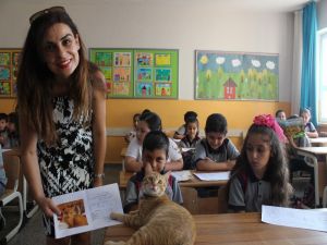 Fenomen Kedi Tombi’nin Dersleri ’Pekiyi’