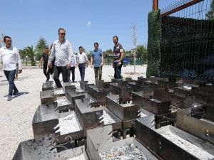 Buca Gölet’te Mangal Keyfi