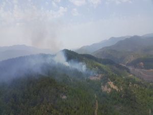 Kızılçam Ormanındaki Yangın Kontrol Altına Alınmaya Çalışılıyor