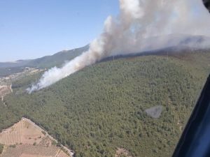 Soma’da Orman Yangını