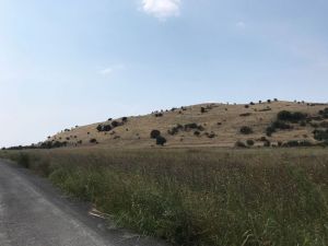 Myrina Ve Gryneion’da Yüzey Araştırmalarına Başlandı