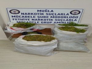 Fethiye’de Uyuşturucu Operasyonu: 1 Tutuklama