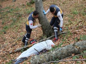 Kestiği Ağacın Dalı Başına Saplanan Yaşlı Adam Hayatını Kaybetti
