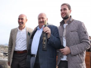 Dünyanın En Pahalı Zeytinyağı: Yarım Litresi 30 Bin Lira