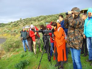 Aydın’da Kış Turizmi Değil Kuş Turizmi Başladı