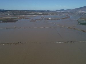 Yağmur Ispanağı Vurdu, Onlarca Dönüm Tarım Arazisi Sular Altında