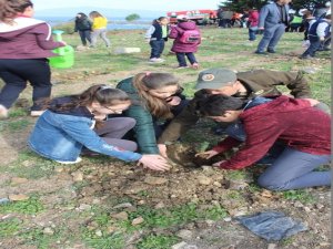 Öğrenciler, Dünya Ormancılık Günü’nde Fidanları Toprakla Buluşturdu