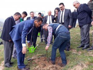 Alaşehir’de "Adalet Ormanı" Ağaçlandırıldı
