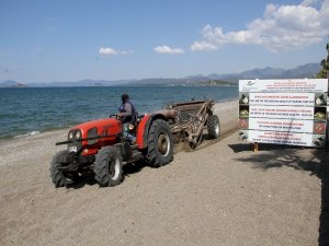 Çalış Plajı Caretta Carettalar İçin Temizleniyor