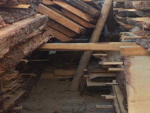 Üstüne Çıktığı Keresteler 10 Yaşındaki Çocuğun Sonu Oldu