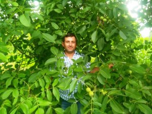 Ziraat Odası Başkanı Çalışkan: Çiftçilerimiz Ceviz Yetiştiriciliğine Yönelmeli