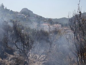 Fethiye’deki Yangın Kısa Sürede Söndürüldü
