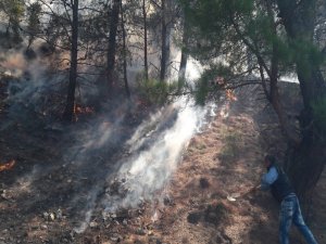 Buldan’da 2,5 Hektarlık Ormanlık Alan Yandı