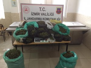 Kiraz’da Jandarmadan Uyuşturucu Baskını