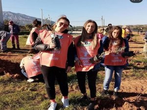 Datça Myo Öğrencileri Okul Kampüsünü Yeşillendirdi