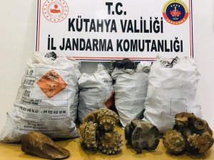 Tunçbilek’te Hırsızlık Şüphelisi Suçüstü Yakalandı