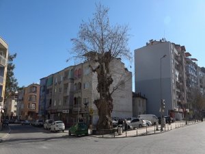 2 Asrı Geride Bıraktı Halen Ayakta