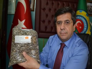 Ay Çekirdeği Üreticileri Çıkan Haberlerden Dertli