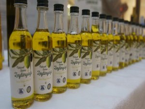 Aydın Zeytinyağı Gaziantep’te Tanıtılacak