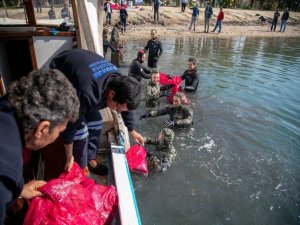 Deniz Dibi Temizliği Gümbet’te Devam Etti