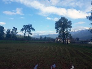 İpekböcekçiliği Muğla’da Hayat Buluyor