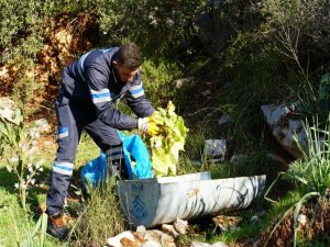 Yaban Domuzları İçin Yemlikler Yerleştiriliyor