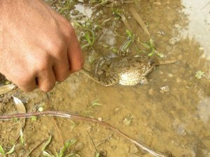 Ekodosd, Söke İlçe Tarım Orman Müdürü Zeki Berhuni’yi Ziyaret Etti