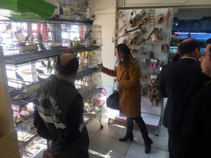 Aydın’da Cıtes Kapsamında Kaçakçılık Operasyonu Gerçekleştirildi