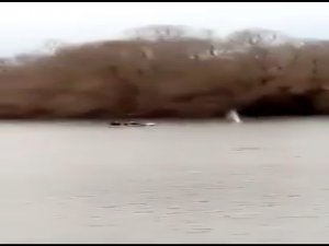 Yunanlılar Mültecilere Gerçek Mermiyle Saldırdı