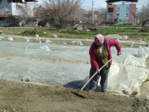 Tütüncülerin Telaşı Başladı