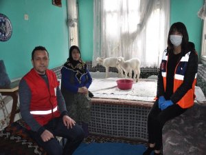 Onun Derdi Kuzuları