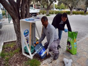 Söke Belediyesi Sokak Hayvanlarını Unutmadı