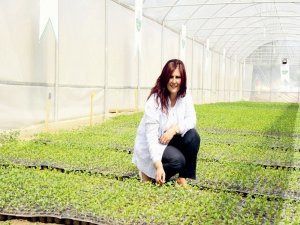 Aydın Büyükşehir Belediyesi, Gıda Sorunu Yaşanmaması İçin Harekete Geçti