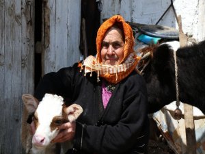 Çaresizliğin Yüzüyken, Umudun Yüzü Olan Sabiha Nine