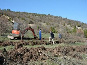 Porsuk Barajı Havzası Ağaçlandırılıyor