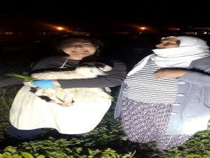 Demir Boru İçinde Mahsur Kalan Oğlak İtfaiye Ekipleri Tarafından Kurtarıldı