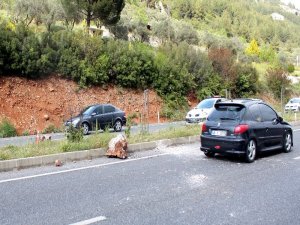 Yola Düşen Kaya Parçasından Şans Eseri Kurtuldular
