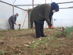 Uşak’ta Tarımsal Üretim ‘Steril’ Şekilde Sürüyor