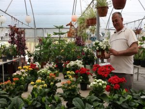 Korona Sayesinde Balkonlar Bahçeye Dönüştü