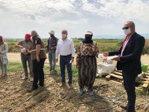 Mevsimlik Tarım İşçilerine Maske Dağıtıldı
