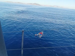 Yüzerek Karşıya Geçmeye Çalıştı