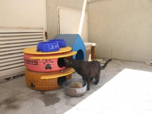 Konak’ta Can Dostlara Da Bayram Hediyesi