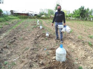 Don Ve Kırağıya Karşı Pet Şişeli Önlem