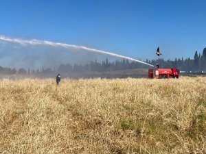 Tarım Arazisinde Yangın