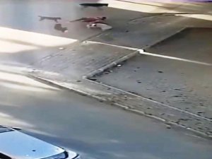 Saldırıya Uğrayan Köpeğini Kurtarmak İçin Köpeklerin Arasına Böyle Daldı